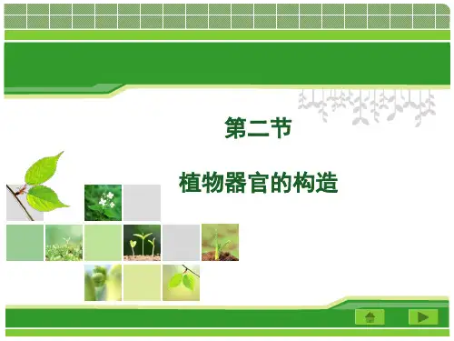 第二节 植物器官的构造