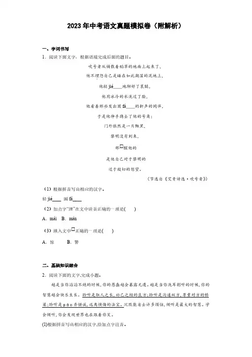 2023年中考语文真题模拟卷(解析)