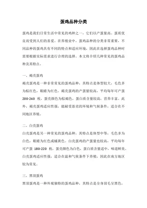 蛋鸡品种分类