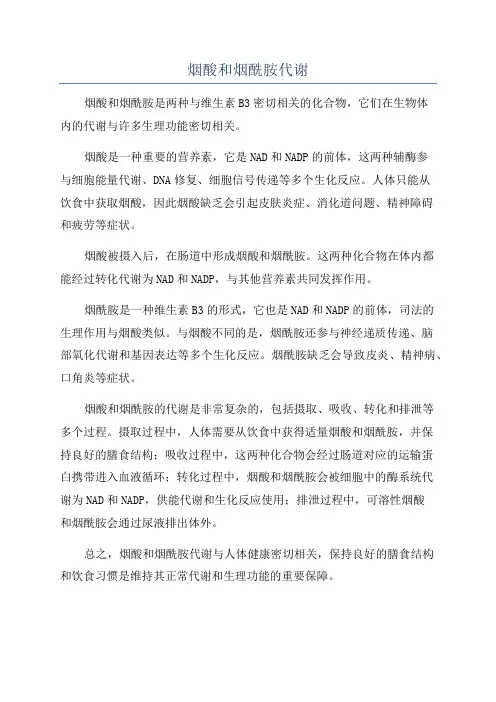 烟酸和烟酰胺代谢