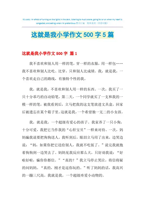 这就是我小学作文500字5篇