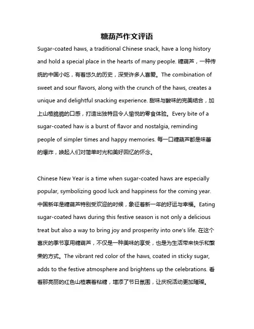 糖葫芦作文评语