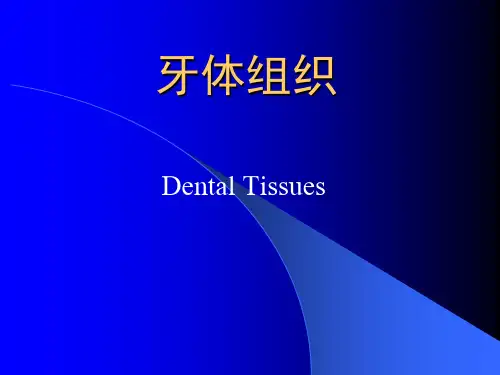 口腔组织病理学课件：牙体组织