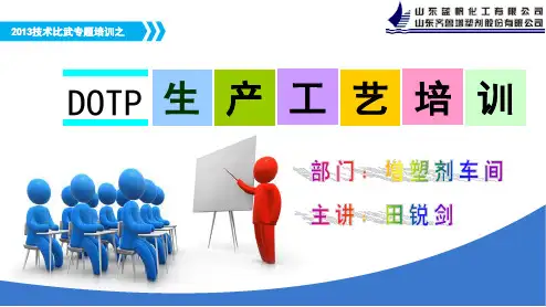 增塑剂车间DOTP生产工艺培训
