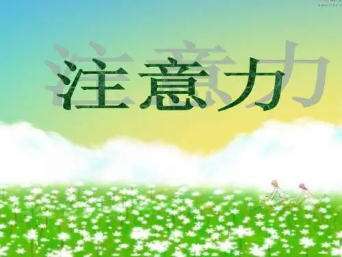 注意力训练 (1)