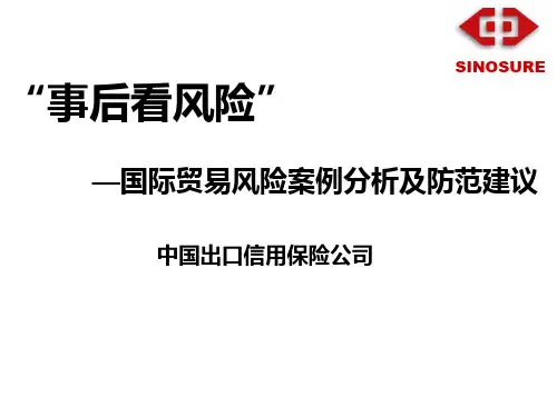 国际贸易风险案例评析