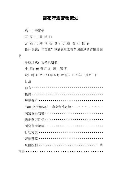 雪花啤酒营销策划