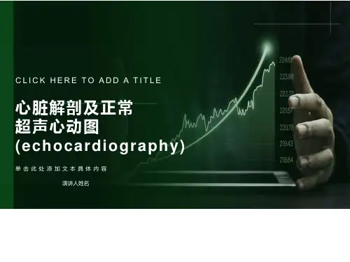 心脏解剖及正常超声心动