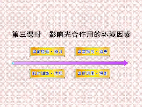 4.2.3《影响光合作用的环境因素》课件(苏教版必修1)