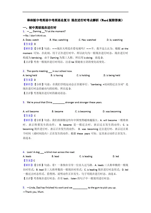 中考英语总复习 现在进行时考点解析(Word版附答案)