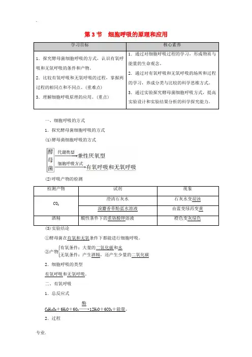 高中生物 第5章 第3节 细胞呼吸的原理和应用教案 新人教版必修1-新人教版高一必修1生物教案