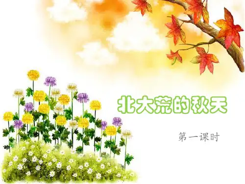 《北大荒的秋天》课件