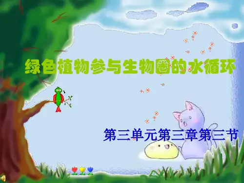 人教版七上《绿色植物参与生物圈的水循环》ppt