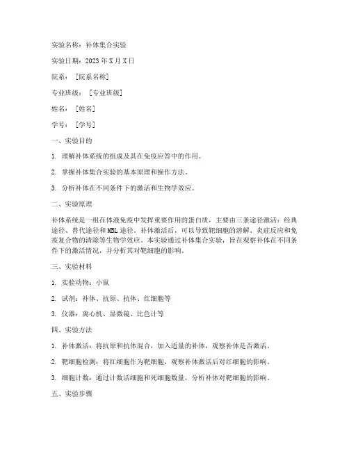 补体集合实验报告