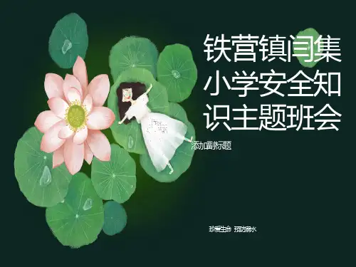 小学生防溺水安全教育讲座ppt课件