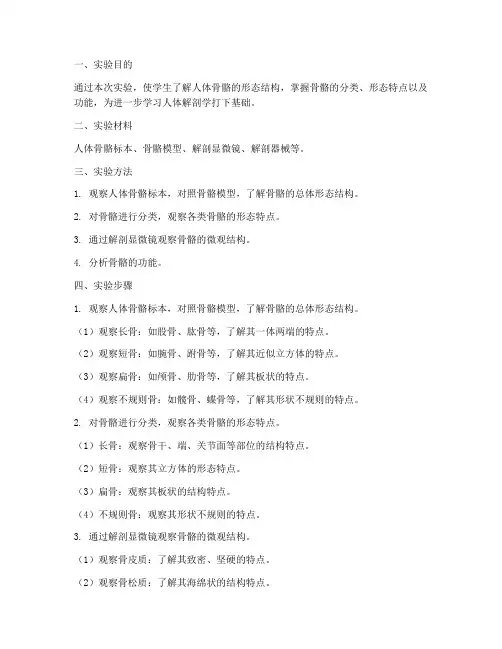 人体骨骼形态实验报告