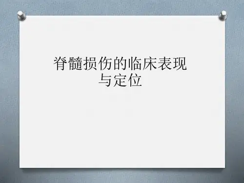 脊髓损伤的临床表现与定位02-29