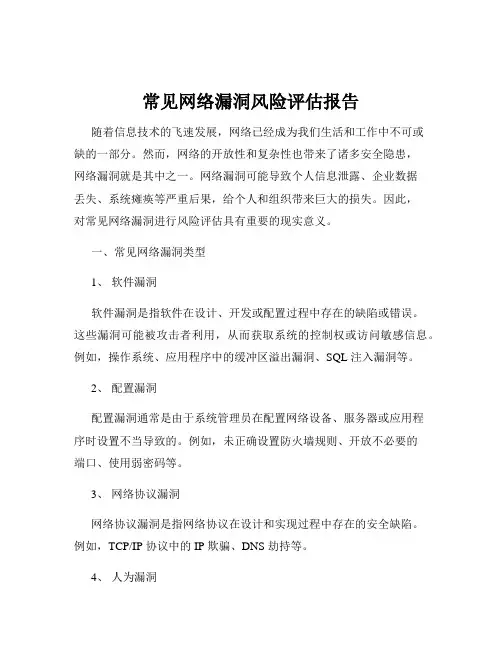 常见网络漏洞风险评估报告