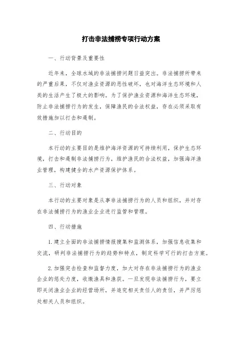 打击非法捕捞专项行动方案
