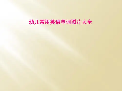 幼儿常用英语单词图片大全
