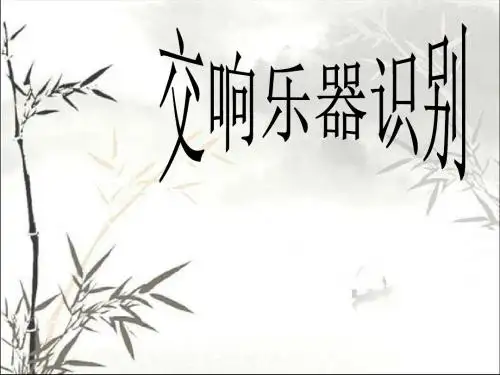 西方交响乐器识别 PPT课件
