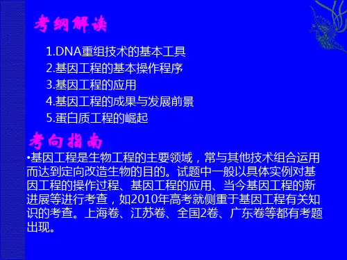 一轮复习基因工程