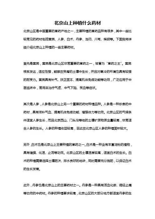 北京山上种植什么药材
