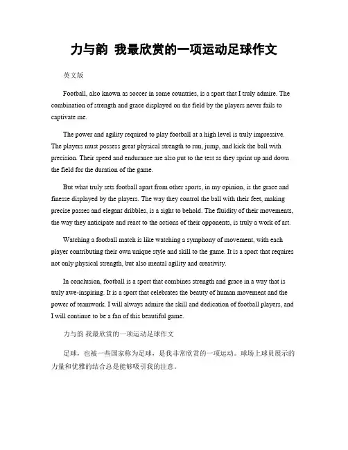 力与韵 我最欣赏的一项运动足球作文