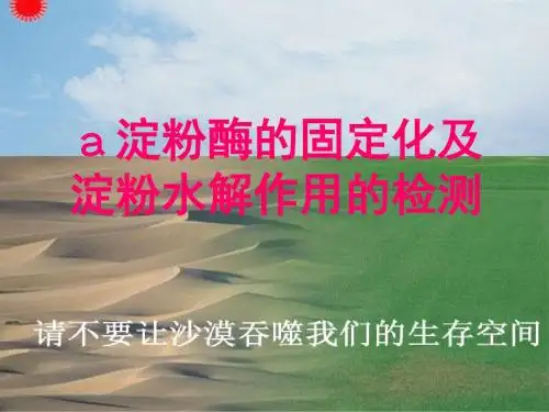 实验6：α淀粉酶固定化