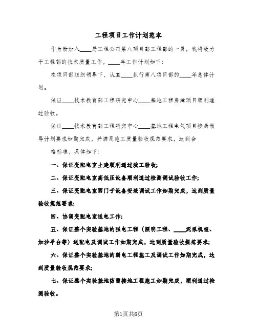 工程项目工作计划范本（3篇）