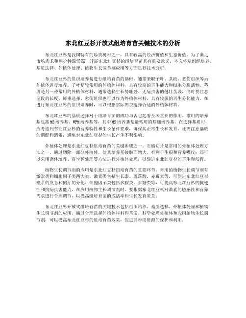 东北红豆杉开放式组培育苗关键技术的分析