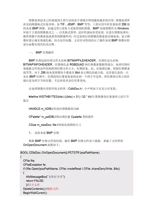 Visual C++6.0开发灰度位图处理