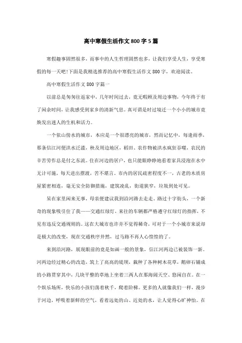 高中寒假生活作文800字5篇