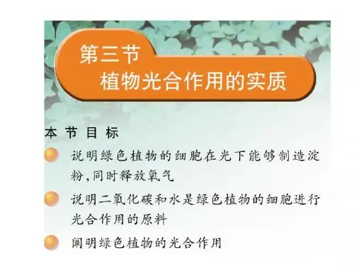 高中生物植物光合作用的实质PPT精选课件 苏教版