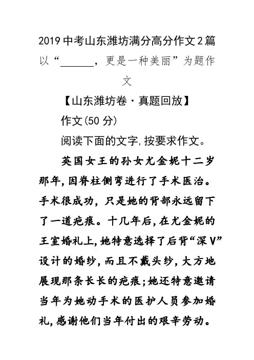 2019中考山东潍坊满分高分作文2篇