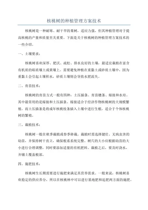 核桃树的种植管理方案技术