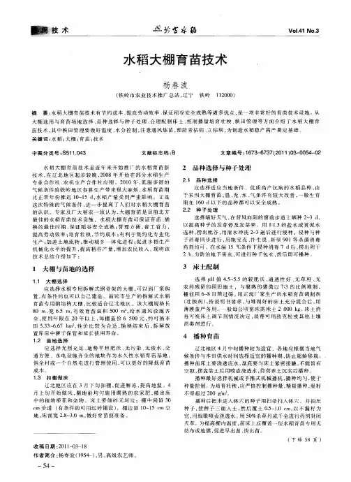 水稻大棚育苗技术