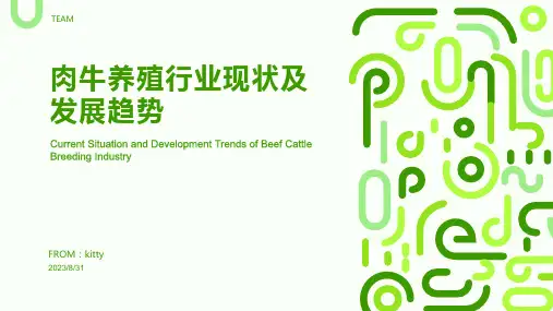 2023年肉牛养殖行业发展现状报告