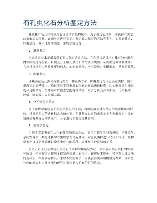 有孔虫化石分析鉴定方法
