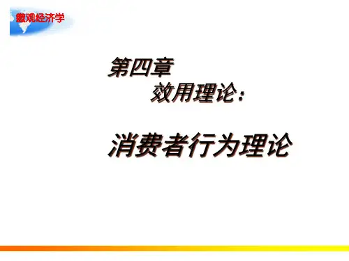 西方经济学微观效用理论消费者行为理论