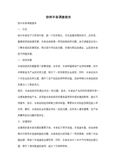 徐州丰县调查报告