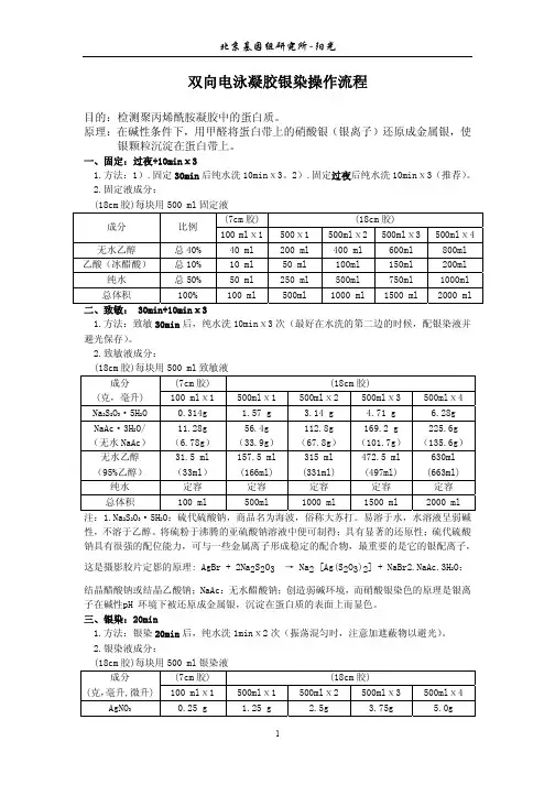 双向电泳凝胶银染操作流程.