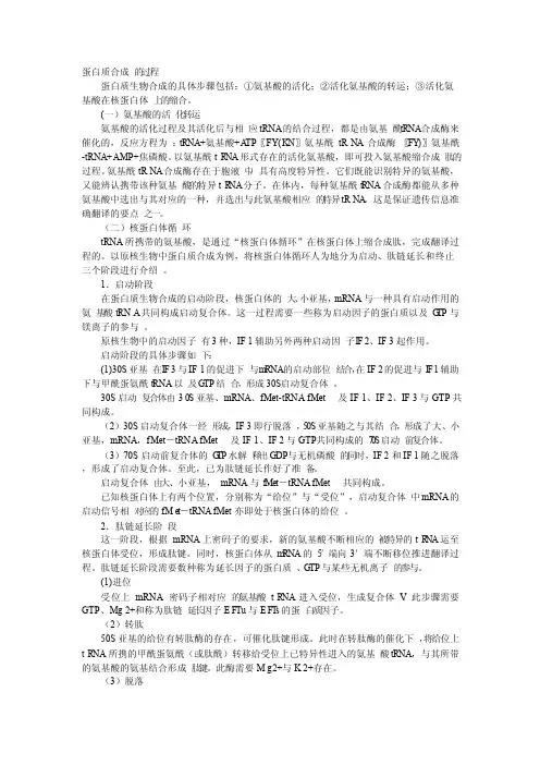 原核生物蛋白质合成的过程