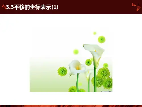 用坐标表示平移课件