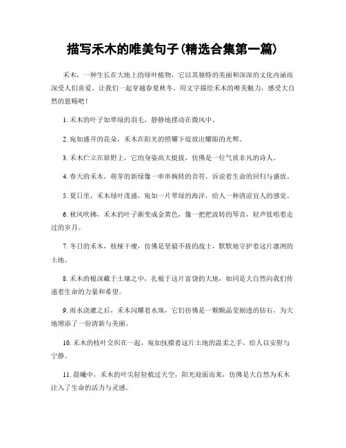 描写禾木的唯美句子(精选合集两篇)
