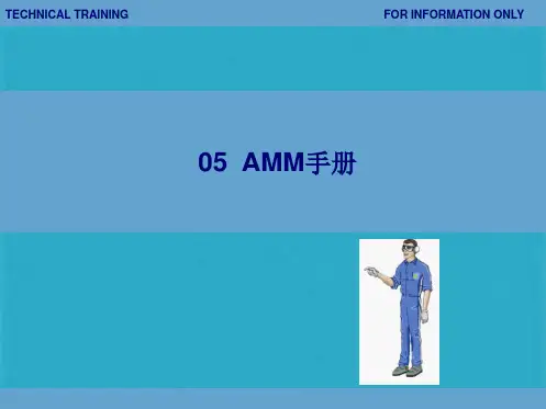 AMM手册的使用(共37张PPT)
