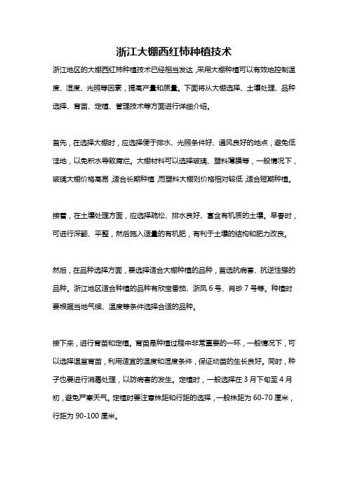 浙江大棚西红柿种植技术