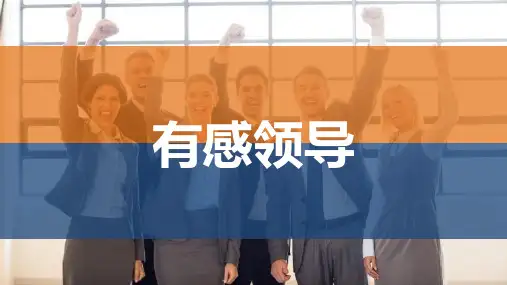 有感安全领导