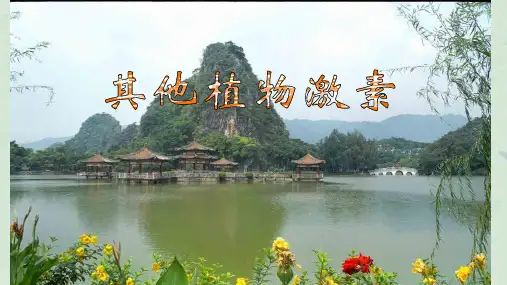第三章第3节其他植物激素课件