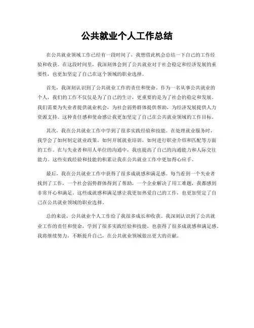 公共就业个人工作总结